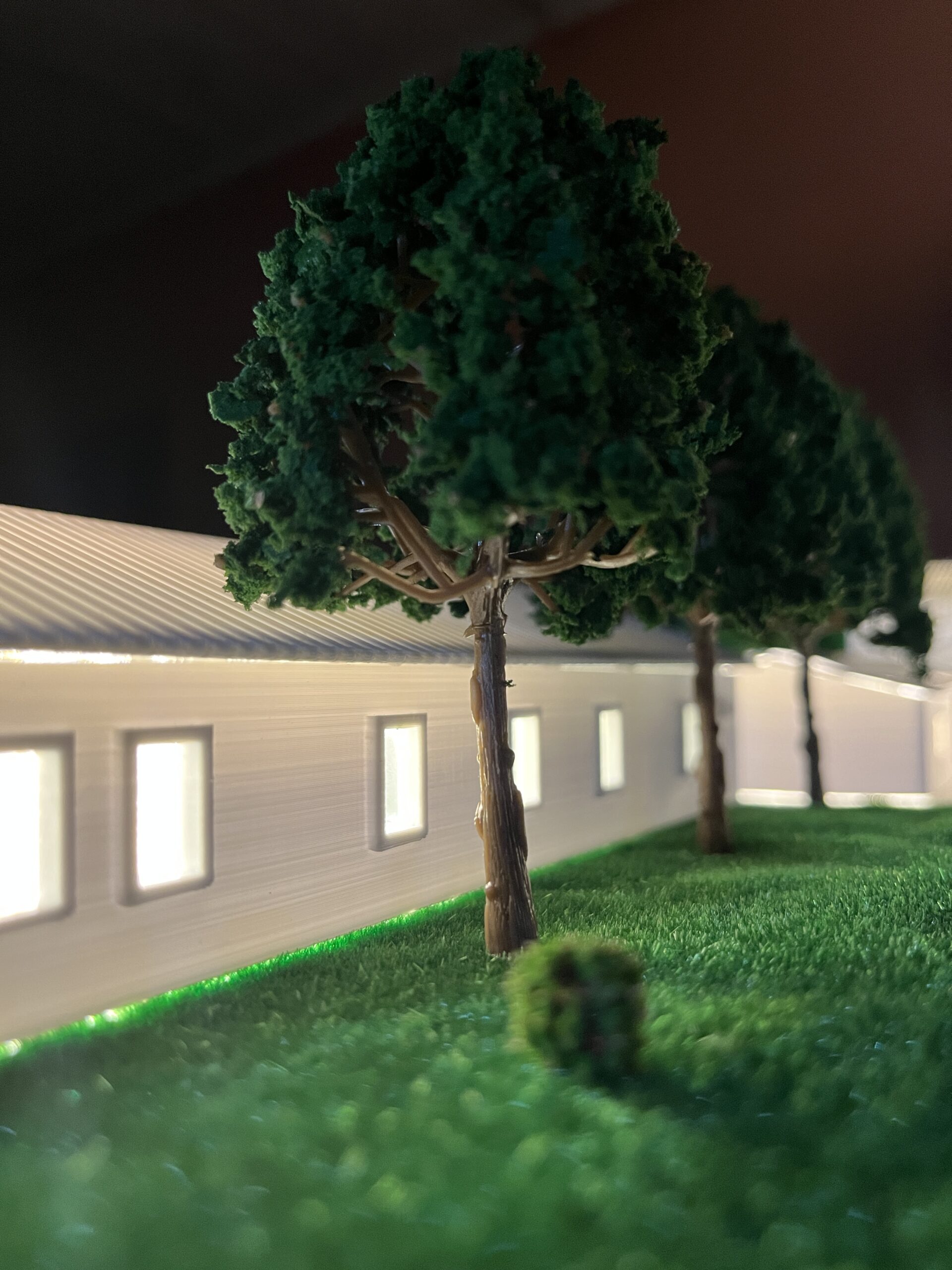model agac scaled